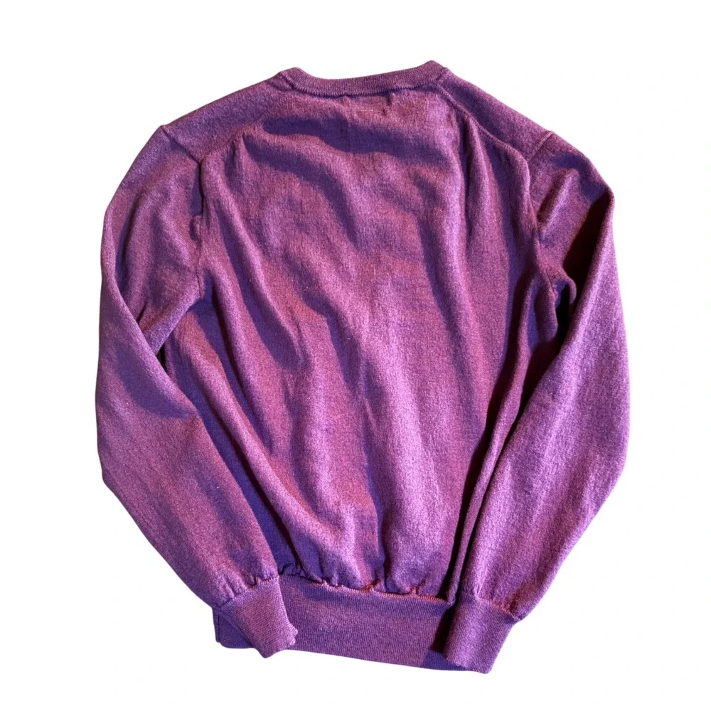 Polo Ralph Lauren Custom Fit V-Neck Sweater Mens S Purple Merino Wool Italian
